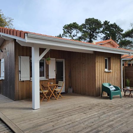 La Cabane De L'Estran Au Bord De Mer Lanton Eksteriør bilde